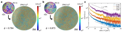 Formation of microdomains of aligned cells. a,b) The orientation field θ(r→,t) (top left) and its gradient squared |∇θ(r→,t)|2 (main) overlaid on the phase-contrast image, for ϕ=0.784(7) (a, active fluid) and ϕ=0.873(4) (b, orientation glass). See also Movies S8–11. The pseudocolor code for the orientation is identical to that used in Fig. 1f–i. c) Histograms of the microdomain area A for different ϕ (legend). The results were shifted vertically for the sake of visibility. The dashed lines are guides for the eyes indicating the exponential distribution e−A/A0 with A0=8.3(21)μm2. The presented results were obtained with a threshold |∇θ(r→,t)|≥10−2(rad/μm)2 here. Changing this threshold results in a constant vertical shift (Fig. S9), while it hardly affects the characteristic area A0 of the exponential distribution.