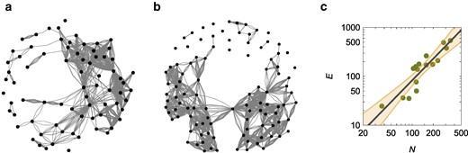 a) Representation of the spatial proximity network for the colony with 74 workers, showing an average degree of 0.982. b) Representation of the spatial proximity network for the colony with 104 workers, showing an average degree of 2.784. In a) and b), each node is a worker and the number of links between each pair identifies the number of frames in which they were within the chosen interaction distance. c) Hypermetric scaling of the number of interactions, E, versus the number of workers, N, for spatial proximity network; the solid line is the scaling E∝N1.47—in agreement with Rocha et al. (24)—and the shaded region is the 95% confidence interval.