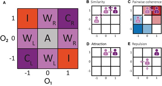The model. A) Each agent holds an independent opinion on two different topics and, according to their opinions, they are classified in four different communities: coherent (C), incoherent (I), weak (W), or apathetic (A). Additionally, agents' opinions define their ideologies. Agents can be considered left- or right-wing (L or R) depending on whether most of their opinions are left- or right-wing oriented. B) Similarity measures how similar the opinions between two agents are. It is a commutative measure. Similarity between agents i and j (Sij = Sji = 0.75) is higher than similarity between i and m (Sim = 0.5) as the Manhattan distance is lower. C) Pairwise coherence measures the target agent's political coherence. This is a noncommutative measure. Cji is 1 because agent j is coherent, but Cij is 0.5 because i is a weak agent. Cmi is 0 because the agents do not share the same ideology. While i is a right-wing oriented agent, m is left-wing oriented. D) Interactions between similar agents are attractive (S ≥ T). After an interaction between i and j, i changes its opinion and moves closer to j. E) Interactions between dissimilar agents are repulsive (S < T). After an interaction between l and j, l changes its opinion and moves further from j. This movement could be to the left or down with probability 0.5.
