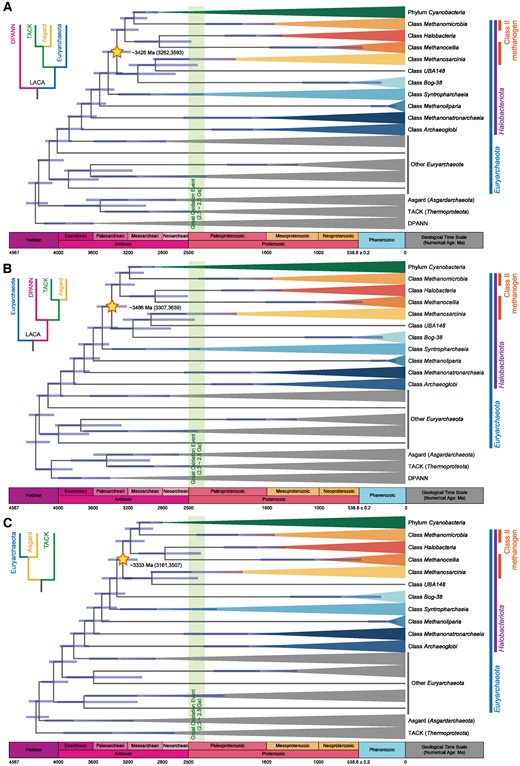 Divergence time estimations of Class II methanogens and other Halobacteriota lineages under different root settings. Phylogenomic trees were reconstructed using IQ-TREE 2 (62–64) under parameters -alrt 1000 -bb 1000 -m LG + R10 + C60, based on the concatenated alignments of SMC and 37 conserved proteins (2, 65, 87, 91). Node dates were inferred using MCMCTree in paml v4.8 (89, 90). The substitution rate was calculated using 3.46 Ga (92) as the root node age. The root node, representing the beginning of the archaeal domain radiation, was calibrated to 3.46–4.29 Ga (92, 93). The MRCA of the crown-group oxygenic Cyanobacteria was calibrated to 2.50–3.00 Ga (40, 44). The divergence between families Nostocaceae and Chroococcidiopsidaceae was calibrated to 0.80–2.00 Ga (94–96). The 95% highest posterior density intervals were indicated by flanking horizontal bars. The last common ancestor of Class II methanogens is marked with a star. The geological timescale follows the ICS International Chronostratigraphic Chart (v 2023/06) (97). The visualization was accomplished using the R package ggtree (98). A) The root was set between the superphylum DPANN and the rest of archaeal lineages. B) The root was set between the superphyla DPANN, TACK, Asgard and the rest archaeal lineages. C) The root was set between the superphylum TACK and other archaeal lineages, after excluding DPANN species.