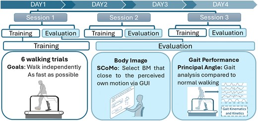 ロボット義足使用時の身体運動知覚変化を解明(Personal Perception of Body Movement Changes When Using Robotic Prosthetics) ロボット義足使用時の身体運動知覚変化を解明(Personal Perception of Body Movement Changes When Using Robotic Prosthetics)