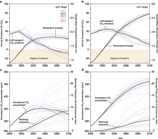 Climate and ecological constraints of cultivating bioenergy crops for climate mitigation in tropical regions
