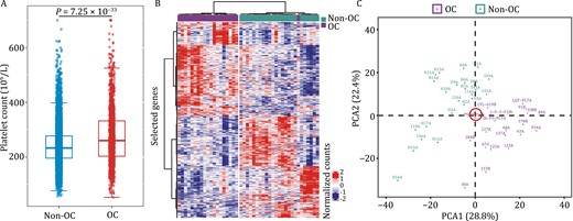 Differences in platelets between OC and non-OC patients. (A) The real-world study of the association between platelet counts and ovarian cancer. These individuals were composed of 1,301 patients with ovarian cancer and 8,667 individuals without cancer Boxplots represent median value, with lower and upper hinges corresponding to the 25th and 75th percentiles, and lower and upper whiskers extending from the hinge to the smallest and largest value at most 1.5× interquartile range of the hinge, respectively. Two-sided student’s t-test. (B) Heatmap of unsupervised clustering and (C) platelet mRNA profiles of patients with ovarian cancer and non-OC individuals in discovery cohort. We found that mRNA sequencing can well discriminate patients with OC from non-OC individuals. OC, ovarian cancer.