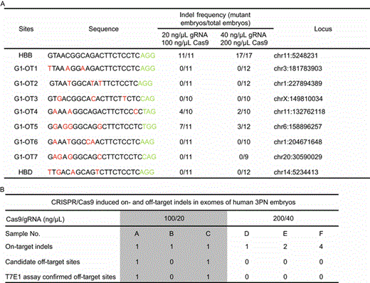 Off-target cleavage of CRISPR/Cas9 in human 3PN embryos. (A) Off-target cleavage in human embryos was summarized here. PAM sequence are labeled in green. HBB, on-target cleavage of the HBB locus. OT1–7, the top 7 predicted off-target sites. HBD, the predicted off-target site in the HBD locus. Mismatched nucleotides compared to the HBB locus are labeled in red. Some of the off-target sites failed to be amplified by PCR in this experiment. (B) Six Cas9-cleaved embryos were randomly selected (three each from groups 2 and 3) for whole-exome sequencing. Concentrations of the Cas9/gRNAs used for injections are indicated. Candidate off-target sites were also confirmed by T7E1 assay