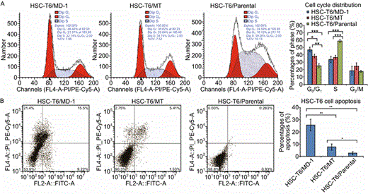 Inhibition of cell cycle and induction of apoptosis by MD-1 in HSC-T6 cells. (A) Left: The cell cycle distribution of HSC-T6 cells in the presence of MD-1 or MT at 62 μmol/L was examined by flow cytometry. Right: Statistics for cell cycle distribution. *P < 0.05; **P < 0.01; ***P < 0.001. (B) Left: The cell apoptosis rate was detected with flow cytometer in MD-1, MT and control group. *P < 0.05; **P < 0.01; ***P < 0.001