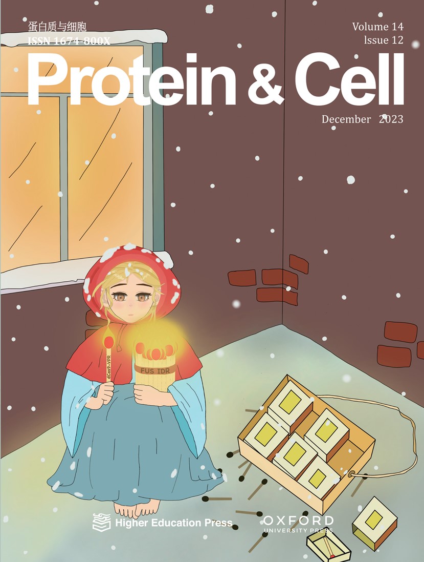 issue cover