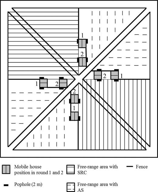 effects of free range access on production parameters and meat birds eye view of the experimental site 100 a 100 m src