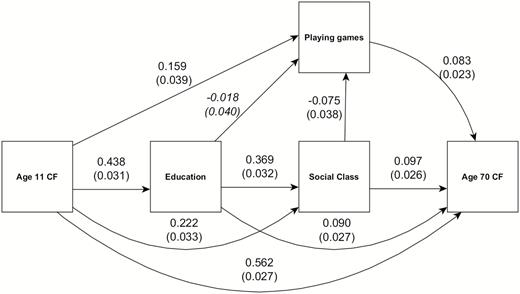 Life course path diagram of the regressions among sociodemographic variables, cognitive functions, and playing games. Arrows indicate direction of the regression paths, with the numbers indicating std β weights and std errors (in parentheses). All paths are significant at p < .05, except for the path from education to playing games, printed in italics.