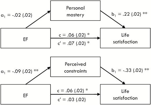 Mediation models with personal mastery (top panel) and perceived constraints (bottom panel) as mediators for life satisfaction. a1 and b1 signify indirect effects, whereas c and c′ reflect total and direct effects, respectively. All values represent unstandardized regression coefficients with standard errors in parentheses. *p < .05; **p < .001.