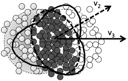 Elliptic and triangular flows from a fluctuating initial state.
