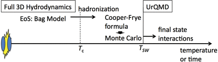 Schematic sketch of the 3D hydro + UrQMD model. Tc and and TSW are taken to be 160 MeV and 150 MeV, respectively.
