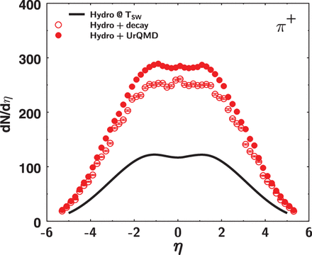 Pseudo-rapidity distribution of π+ from hydro at Tsw (solid line), hydro + decay (open circle), and hydro + UrQMD (solid circle) in Au+Au $\sqrt {s_{NN}}=200$ GeV central collisions.