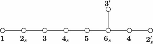 Extended Dynkin diagram and irreducible representations of I′.