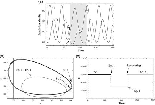 An external perturbation and a recovery. (a) 2-variable ND solutions with a negative perturbation on prey $x_1$. The perturbation is introduced from $t = 700$ to $t = 1200$, which is represented as gray background, (b) The $(x_1,x_2)$ phase-space transition with the negative perturbation as in (a). The solid line (St. 1) is the initial state, and St. 2 is the recovered state after the end of perturbation. The dashed line is the phase-space during Sp. 1–Ep. 1, and (c) Conservation law Ψ of 2-variable ND with one perturbation. Ψ changed from $\Psi \simeq 60000$ to $\Psi \simeq 30000$ by introducing the perturbation. It recovers after Ep. 1.