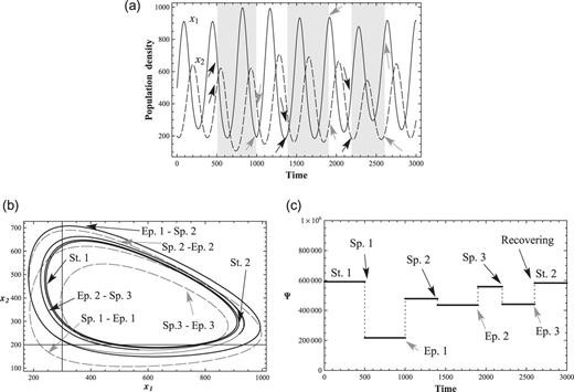 Several external perturbations and recoveries. (a) 2-variable ND solutions with three external perturbations. The rhythm of $x_1$ and $x_2$ recovers from several perturbations. Gray backgrounds represent periods of perturbation, (b) Phase-space transitions of $x_1$ and $x_2$. Dashed lines represent solutions, $x_1$ and $x_2$, during perturbations. Solid lines represent solutions without perturbations, and (c) Conservation law Ψ with three perturbations. It recovers from three perturbations. $\Psi \simeq 60000$ in St. 1 and St. 2.