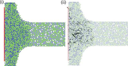 (i) A typical snapshot of the simulation for the frictionless case with $\tilde {\phi }_0 = 0.90$. Blue particles and green particles denote grains with diameter $0.8d$ and $d$, respectively, and red particles are wall particles. (ii) The corresponding contact forces among grains are visualized as black-colored arrows. The average coordination number $Z \simeq 0.526$ and 71.5% of particles are not in contact in the region $0<x\leq 10$ and $|y| < R_{\mathrm {tar}}$.