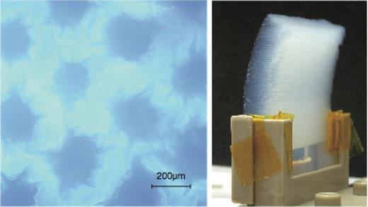 (left) An optical image of an aerogel sample having a triangular hole pattern with equal spacing of 400 $\mu $m. (right) Photograph of a laser-ablated aerogel sample installed on a target holder. The muon beam enters the convex surface while muonium is emitted from the ablated (concave) surface.