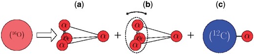 Schematic figure for the three typical configurations introduced in our calculation: (a) triangular pyramid configuration, (b) configuration in which the $^{12}\mathrm{C}$ part is rotating, and (c) $^{12}\mathrm{C}(p_{3/2})+\alpha$ configuration. The small red spheres, blue sphere, and large red sphere show the $\alpha$ clusters, $^{12}\mathrm{C}$ cluster, and the closed $p$-shell configuration of $^{16}\mathrm{O}$, respectively.