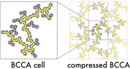 Schematic description of a BCCA cell in ancompressed BCCA cluster. The yellow lines represent the possible heat paths.