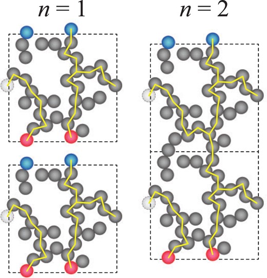 Schematic description of the series connection of dust aggregates in a cubic periodic boundary. The blue monomers are on the upper boundary and the reds are on the lower boundary; the yellow lines represent the heat paths. The series connection of dust aggregates would reduce the artificial effects of the boundary condition.