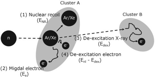 Schematic diagram of the reaction mechanism related to the Migdal effect.