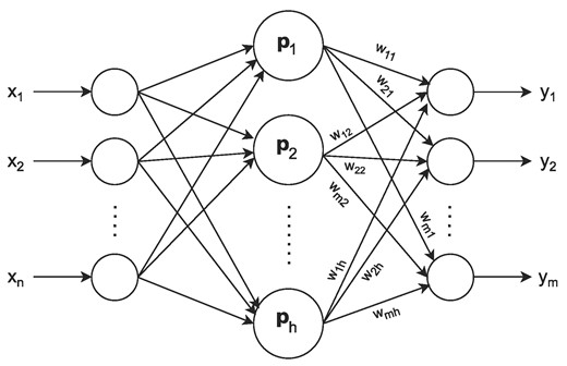 Schematic representation of an RBF neural network.