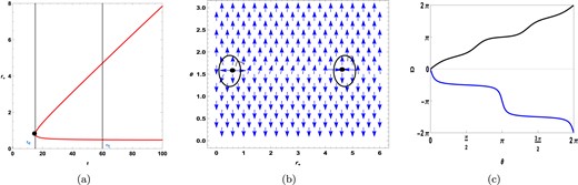 Topological charge of topological black holes $(k=1)$ in fixed charge ensemble when positive values of $R_{0}$ are considered.