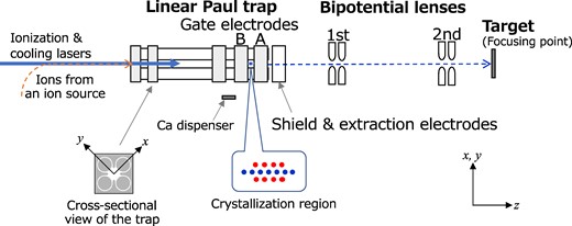 Schematic overview of the system setup for precise single-ion irradiation using a Coulomb crystal, under development at QST Takasaki Institute. Ions delivered from an external ion source (not shown) are captured and sympathetically cooled with laser-coolable Ca ions in the LPT (177.5 mm length in total). A two-component Coulomb crystal is prepared in the crystallization region (6.0 mm in length) between the Gate A and B electrodes for the controlled ejection of cold ions. The extracted ions are accelerated and focused on a target by a 50-kV two-stage electrostatic bipotential lens. The axial direction of the LPT is denoted by z and two transverse directions perpendicular to the z-axis named x and y. The origin of the z-axis is set at the center of the crystallization region between Gates A and B. The path length from the LPT center to the focusing point is approximately 400 mm. The cross-sectional view of the quadrupole and gate electrodes of the LPT is also depicted.