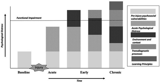 The facets of concussion recovery illustrating how psychological factors contribute to the development and maintenance of psychological distress and impact outcomes over time in concussion. Adapted from the model proposed by Richards et al.14