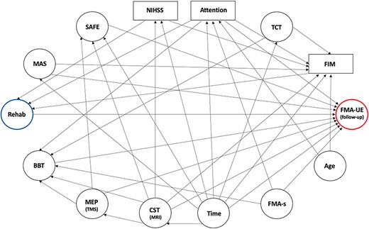 Directed Acyclic Graph (DAG) Representing Variables and Their Relationships. Arrows denote the direction of assumed relationships among selected variables. Note that the baseline Fugl-Meyer Assessment (FMA) for upper extremity (FMA-UE; outcome, circled in red) is not included in the DAG because it was used as a fixed adjustment variable in the model. BBT = box & blocks test; CST = corticospinal tract; FIM = functional independence measure; FMA-s = FMA for sensation; MAS = Modified Ashworth Scale (at biceps brachii); MEP = motor evoked potential; MRI = magnetic resonance imaging; NIHSS = National Institutes of Health Stroke Scale; Rehab = rehabilitation (exposure in hours, blue); SAFE = shoulder abduction and finger extension; TCT = trunk control test; TMS = transcranial magnetic stimulation.