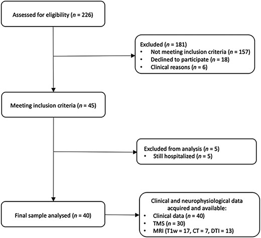 Flowchart of the Study Population. CT = computerized tomography; DTI = diffusion tensor magnetic resonance imaging (MRI); T1w = T1 weighted; TMS = transcranial magnetic stimulation.