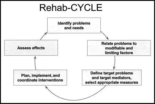 The Rehab-CYCLE is a modified version of the Rehabilitation Cycle developed by Stucki and Sangha.14 It guides the health care professional with a logical sequence of activities. Endpoints of this rehabilitation management system are successful problem solving or individual goals achieved. The Rehab-CYCLE involves identifying the patient's problems and needs, relating the problems to relevant factors of the person and the environment, defining therapy goals, planning and implementing the interventions, and assessing the effects.