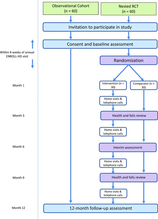 Schematic of participant flow through the study. RCT = randomized controlled trial.