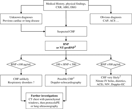 Diagnostic strategy based on BNP levels in elderly patients admitted for acute respiratory failure (ARF) in the ED. 1In the ‘grey’ zone (BNP between 100 and 500 pg/ml), which represents less than a quarter of patients, further investigations are needed, and ER physicians should still consider CHF, as well as massive PE, severe exacerbation of COPD or severe pneumonia. 2Physicians should be keep in mind that half of elderly patients with ARF has more than one, i.e. a BNP >500 pg/ml strongly suggests CHF, but other diagnosis could have precipitated CHF. 3 For NT-proBNP, the cut-off values are 500 and 2000 pg/ml. CXR: chest X-ray; EKG: Electrocardiogram; ABG: arterial blood gas analysis; CHF: congestive heart failure; ACS: acute coronary syndrome; CT: computed tomography; IV: intra-venous; NIV: non invasive ventilation including continuous positive airway pressure; ACEi: angiotensin converting enzyme inhibitor; EC: echocardiography.