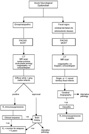Algorithm for management of suspected small-vessel, or middle-sized vessel PACNS, suggested from analysis of this series.
