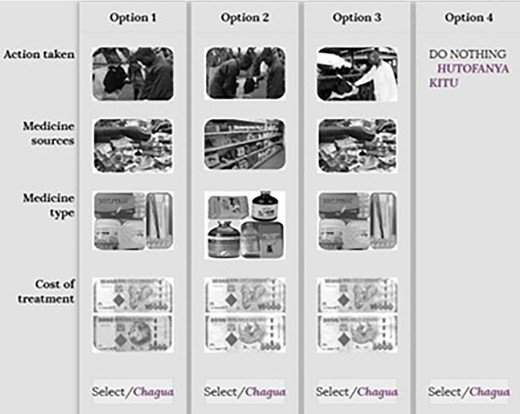 Example of a choice card for cattle scenarios. Source: Action taken (modified from shutterstock.com, 2019); medicine source (google images, 2019); medicine type (Field photos, 2019); cost of treatment (google images, 2019).