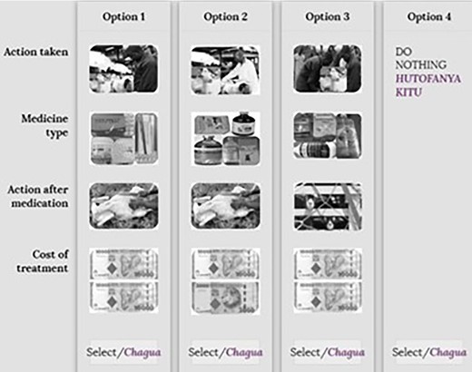 Example of a choice card for sheep and goat scenarios. Source: Action taken (modified from shutterstock.com, 2019 with field photos); medicine type (Field photos, 2019); action after medication (google images, 2019), cost of treatment (google images, 2019).
