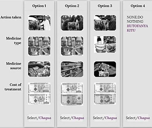 Example of a choice card for poultry scenarios. Source: Action taken (modified from shutterstock.com, 2019); medicine source (google images, 2019); medicine type (Field photos, 2019); cost of treatment (google images, 2019).