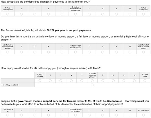 Response scales (corresponding to example vignette shown in Fig. 1).