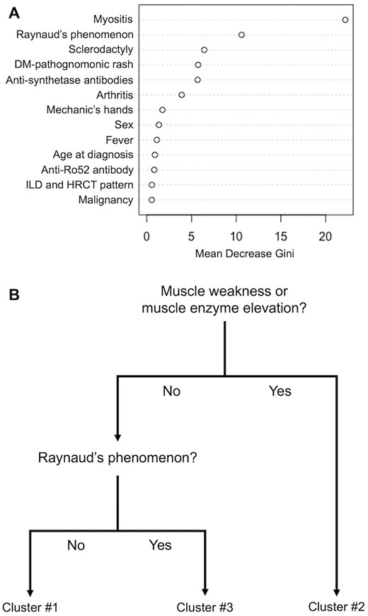 Generation of a classification tree using the SMCE cohort. (A) The weight of each clinical or serological variable for clustering assessed by the random forest algorithm. (B) Pruned model of prediction generated by the classification and regression tree analysis