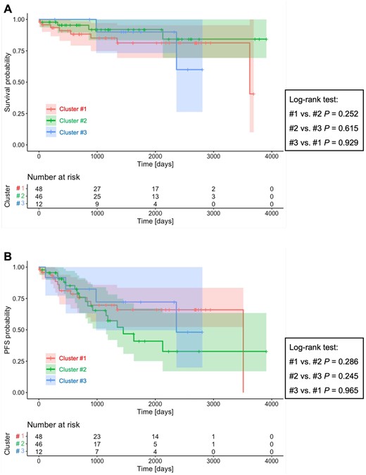 Kaplan–Meier survival curves for each cluster in the SMCE cohort. (A) Overall survival. (B) Progression-free survival. aAdjusted P-value
