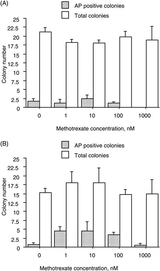 Culture in the presence of MTX does not affect the colony‐forming efficiency of marrow cell suspensions. Cells were cultured for 18 days in the absence or presence of MTX at the concentrations indicated. MTX had no consistent effect on the total number of colonies that formed or on the proportion that were positive for AP either in the absence (A) or presence (B) of 10 nM Dx. Data (mean and s.e.m.) represent three donors.