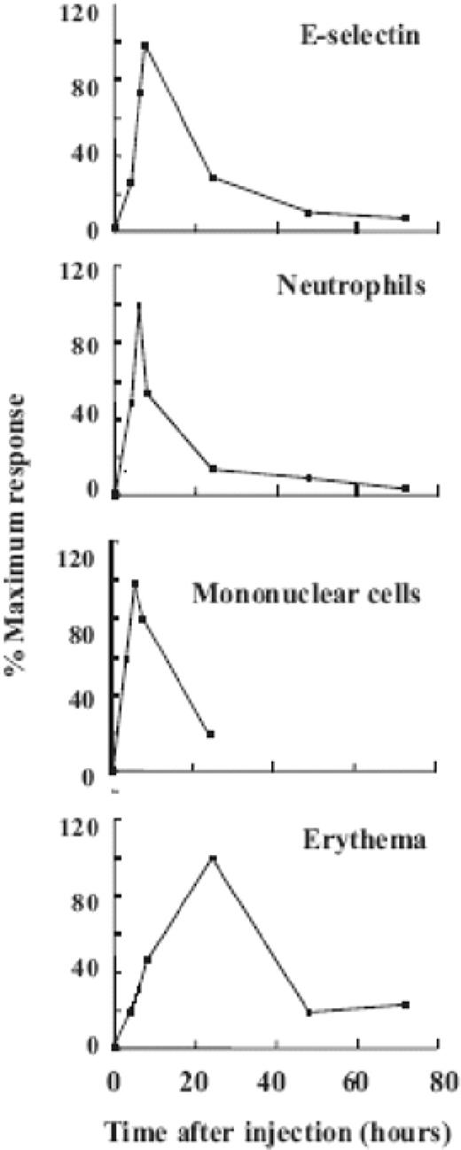 Kinetics of endothelial E-selectin expression, entry of neutrophils and mononuclear cells into the tissues, and erythema in pig skin after injection of MSU crystals. Reproduced from Haskard and Landis [81] with permission from Biomed Central Ltd.