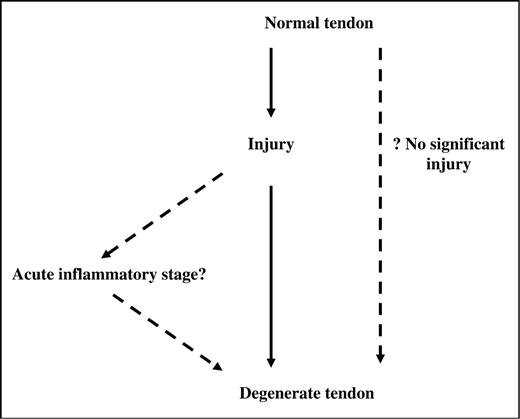 Schematic representation of the process from initial injury to degenerative tendinopathy, highlighting the potential lack of either a significant inflammatory stage or discernible injury.
