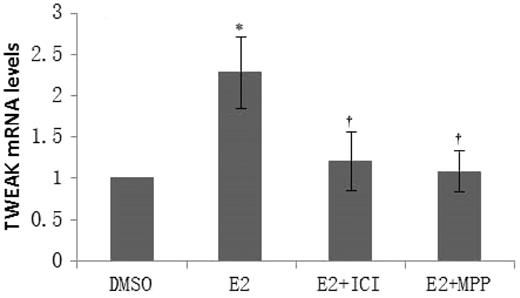 17β-estradiol upregulates TNF-like weak inducer of apoptosis mRNA expression through estrogen receptor alpha (ERα) in peripheral blood mononuclear cells obtained from LN patients
