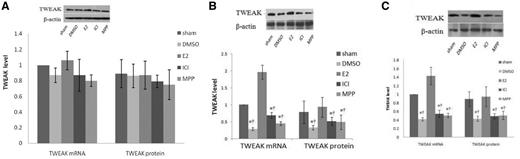 17β-estradiol increases TNF-like weak inducer of apoptosis expression in MRL/lpr mice through estrogen receptor alpha (ERα)