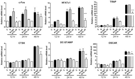 Effect of IL-26 on osteoclastogenic mRNA expression
