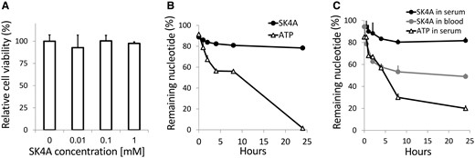 Inhibitor SK4A is metabolically stable and not toxic to primary human chondrocytes