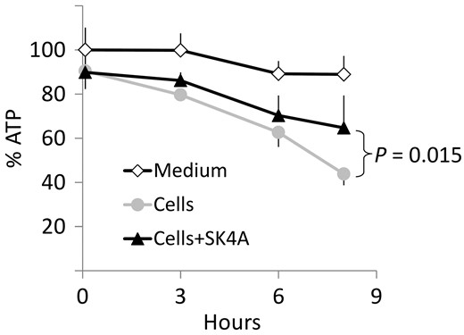 SK4A inhibits extracellular ATP hydrolysis in primary human chondrocytes