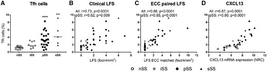 Salivary gland Tfh cells quantified by ECC are increased in SS patients and correlate with LFS